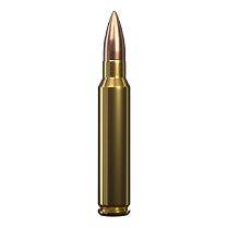 5.56x45 mm